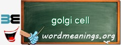 WordMeaning blackboard for golgi cell